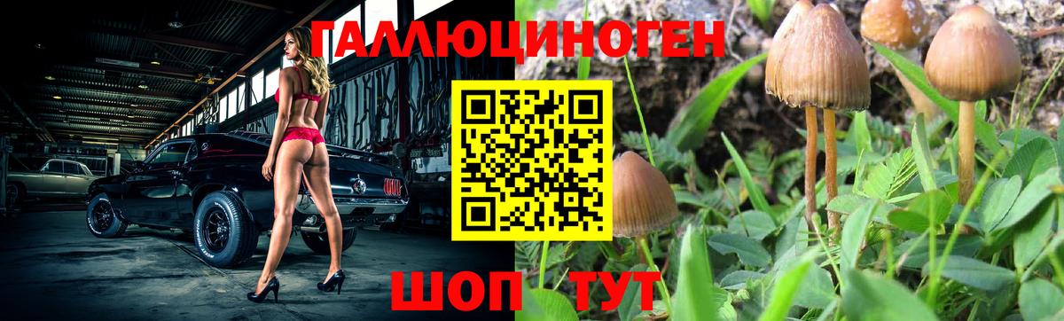 Псилоцибиновые грибы прущие грибы Орск