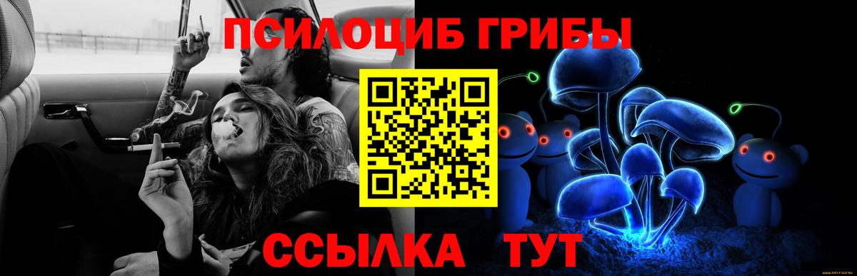 Псилоцибиновые грибы Psilocybine cubensis  Вход с VPN  где купить наркотик  Орск 